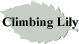 Climbing Lily