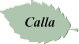Calla