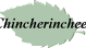 Chincherinchees