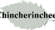 Chincherinchees