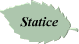 Statice