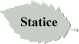Statice